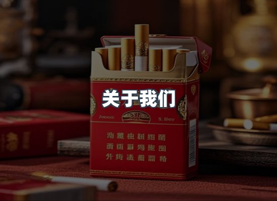 关于我们